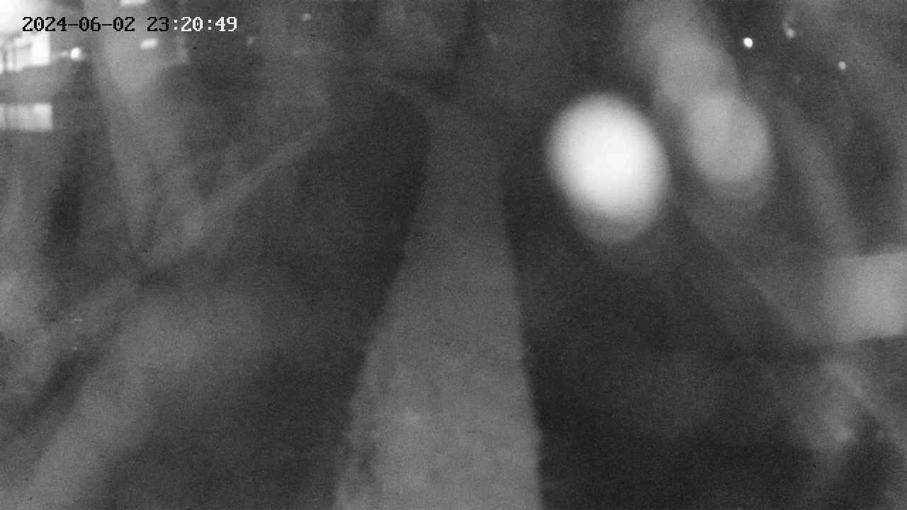 area11-20240602232049.jpg