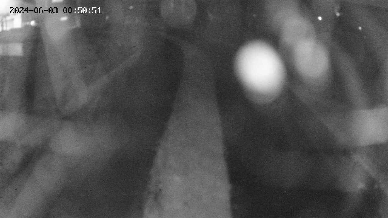 area11-20240603005052.jpg