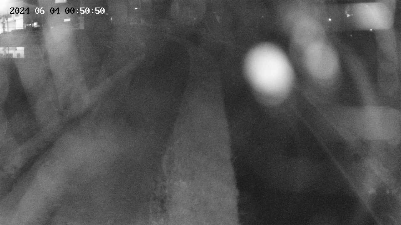 area11-20240604005051.jpg