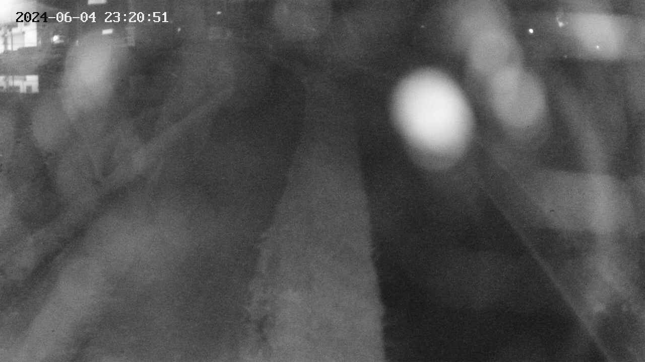 area11-20240604232052.jpg