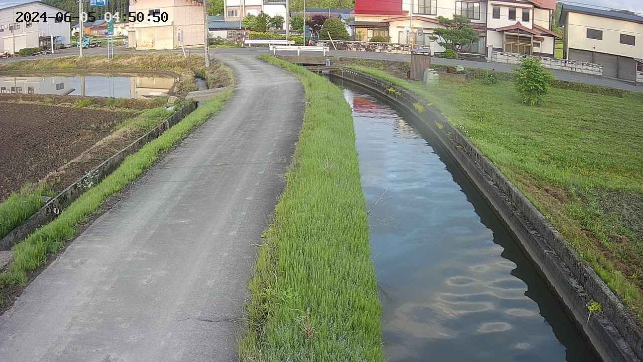 area11-20240605045051.jpg