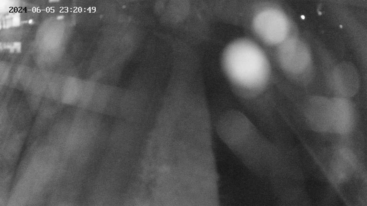 area11-20240605232050.jpg