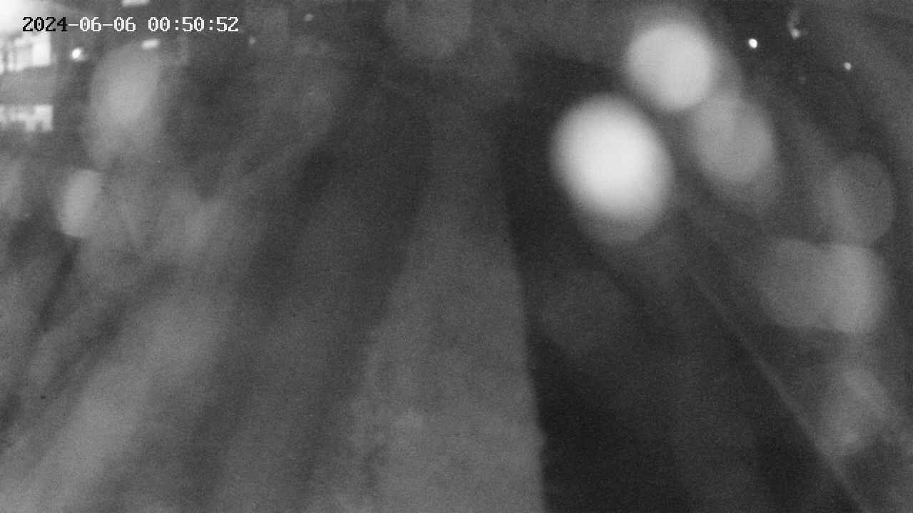 area11-20240606005052.jpg