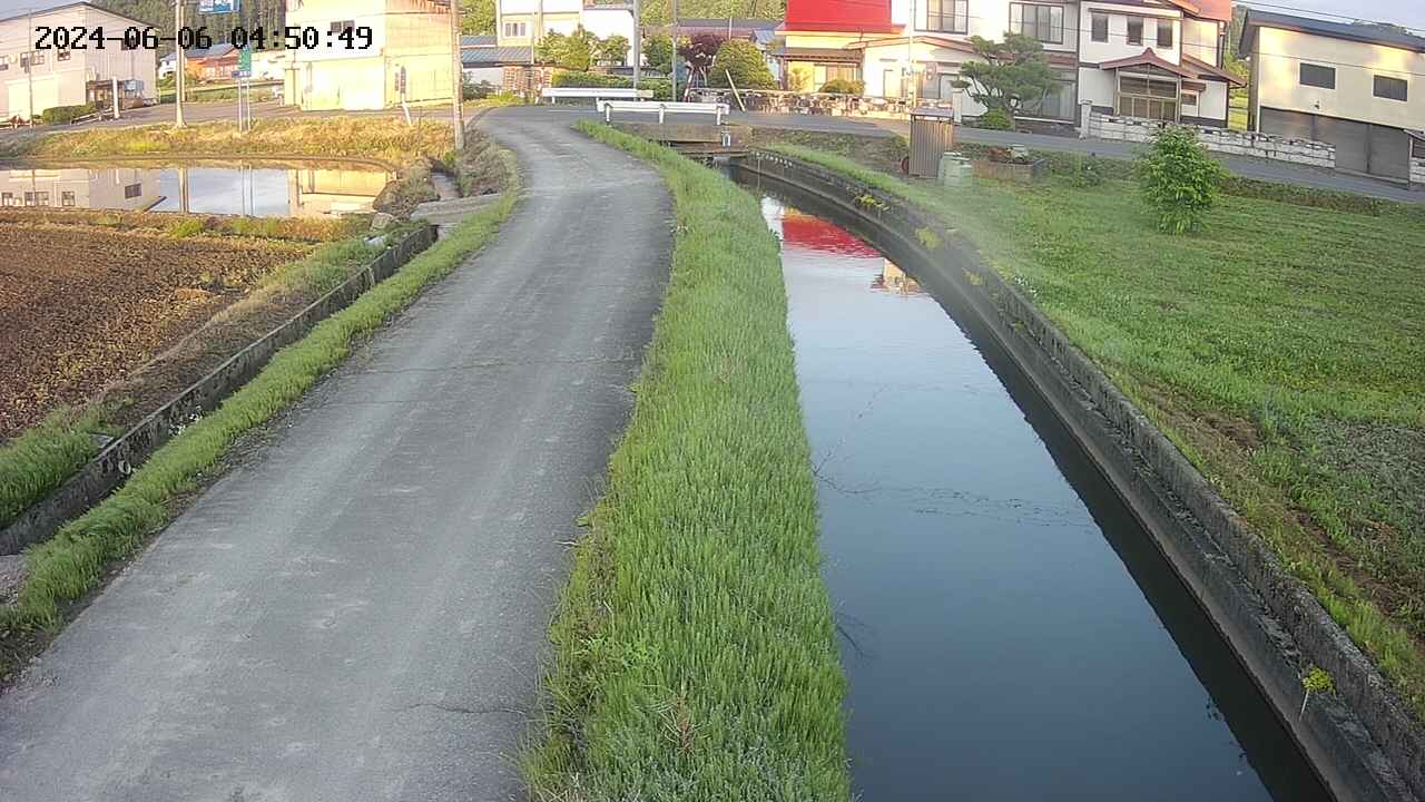 area11-20240606045050.jpg