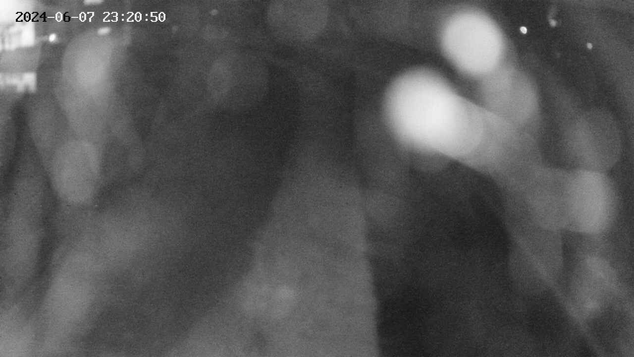 area11-20240607232050.jpg