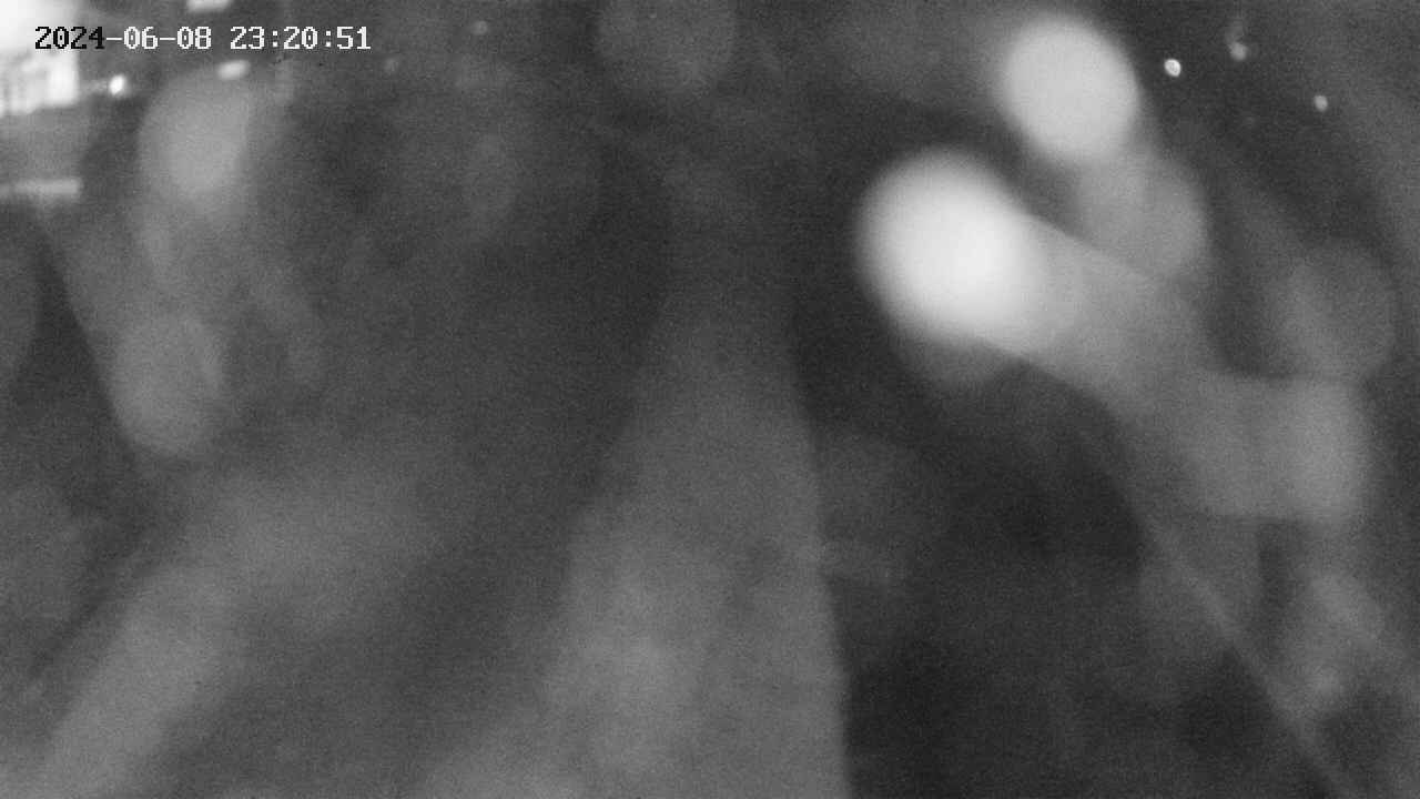 area11-20240608232051.jpg