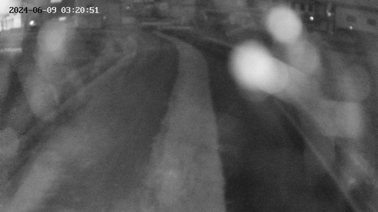 area11-20240609032051.jpg