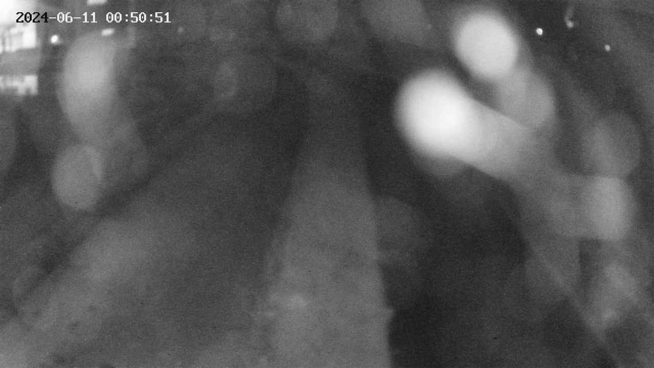 area11-20240611005051.jpg
