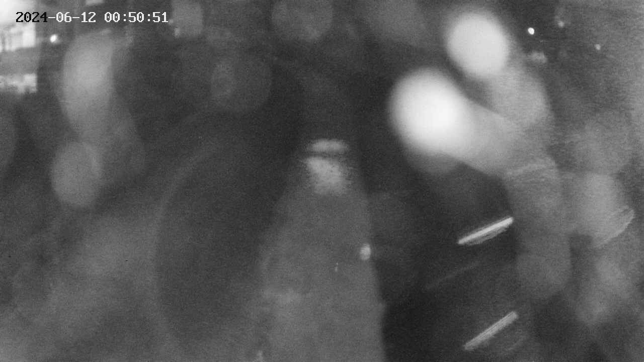 area11-20240612005052.jpg