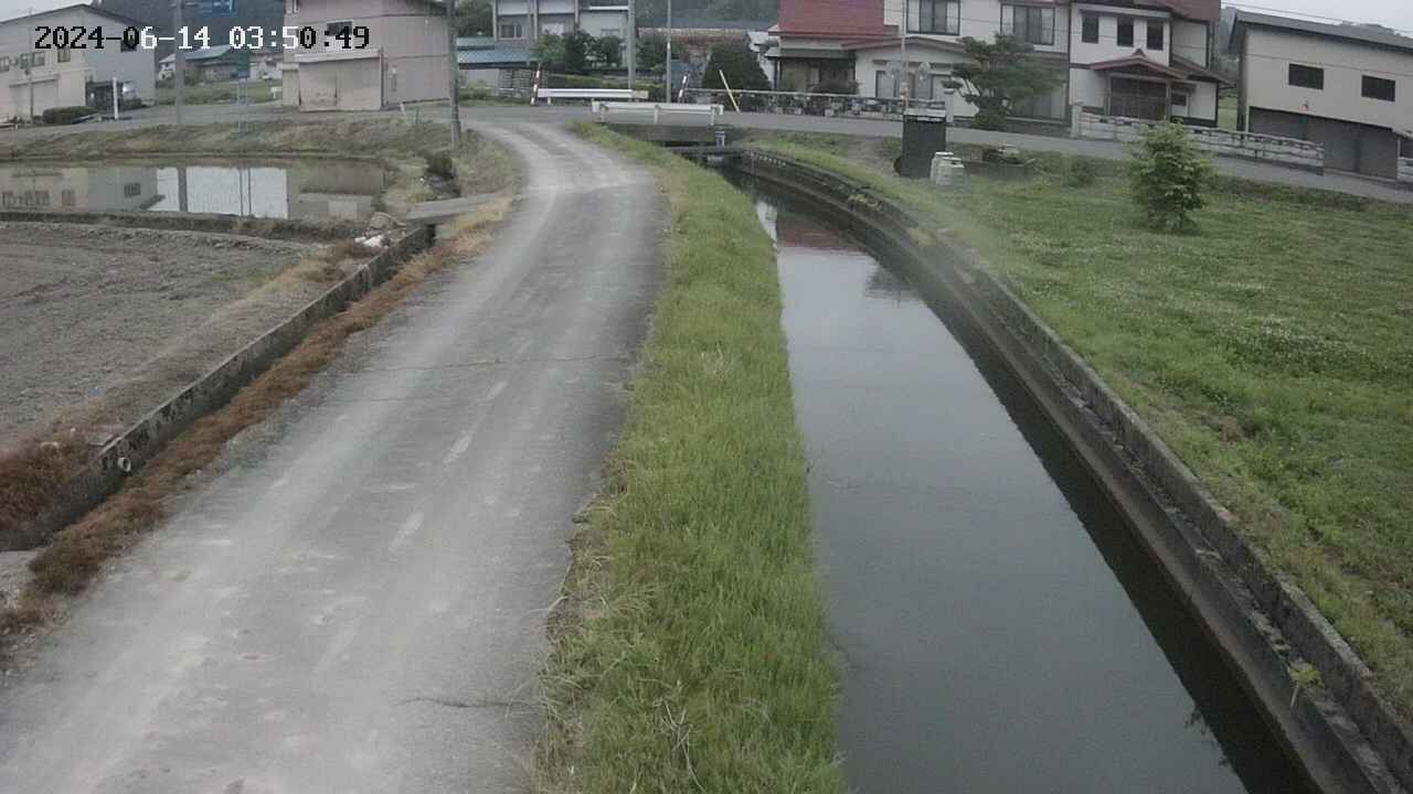 area11-20240614035050.jpg