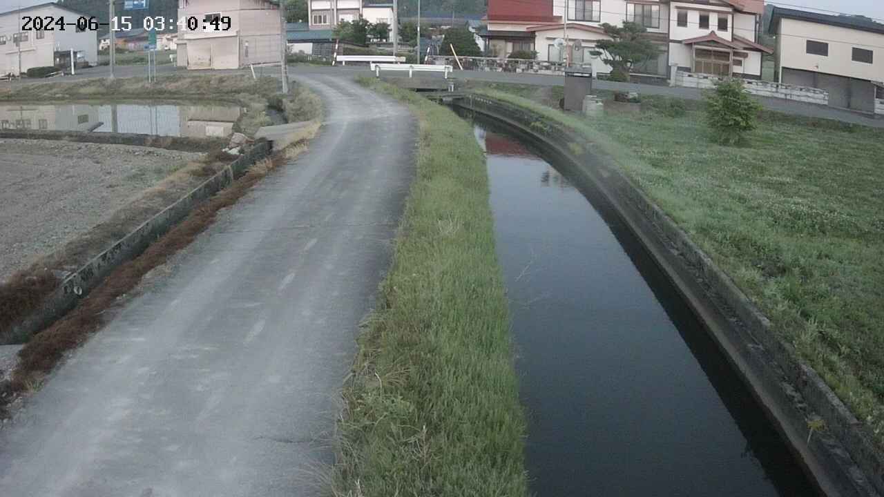 area11-20240615034050.jpg
