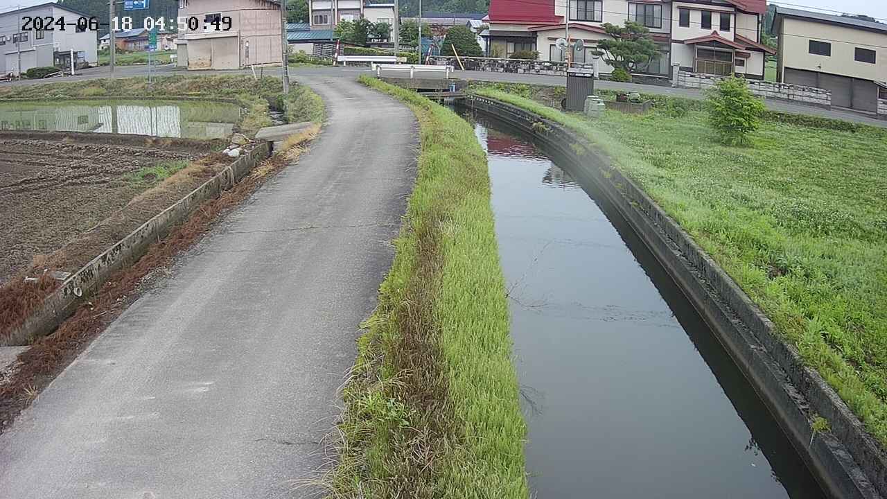 area11-20240618045050.jpg
