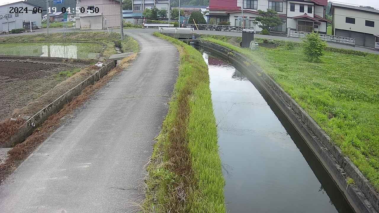 area11-20240619045051.jpg