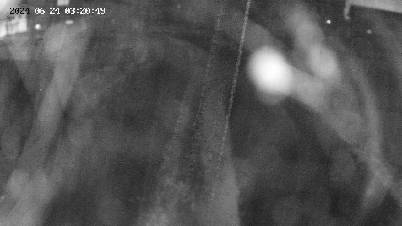 area11-20240624032050.jpg