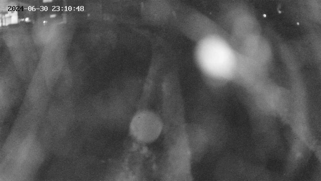 area11-20240630231049.jpg