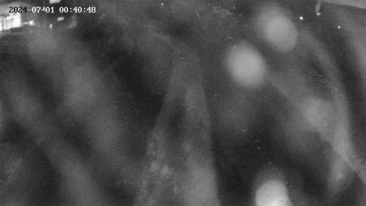 area11-20240701004050.jpg