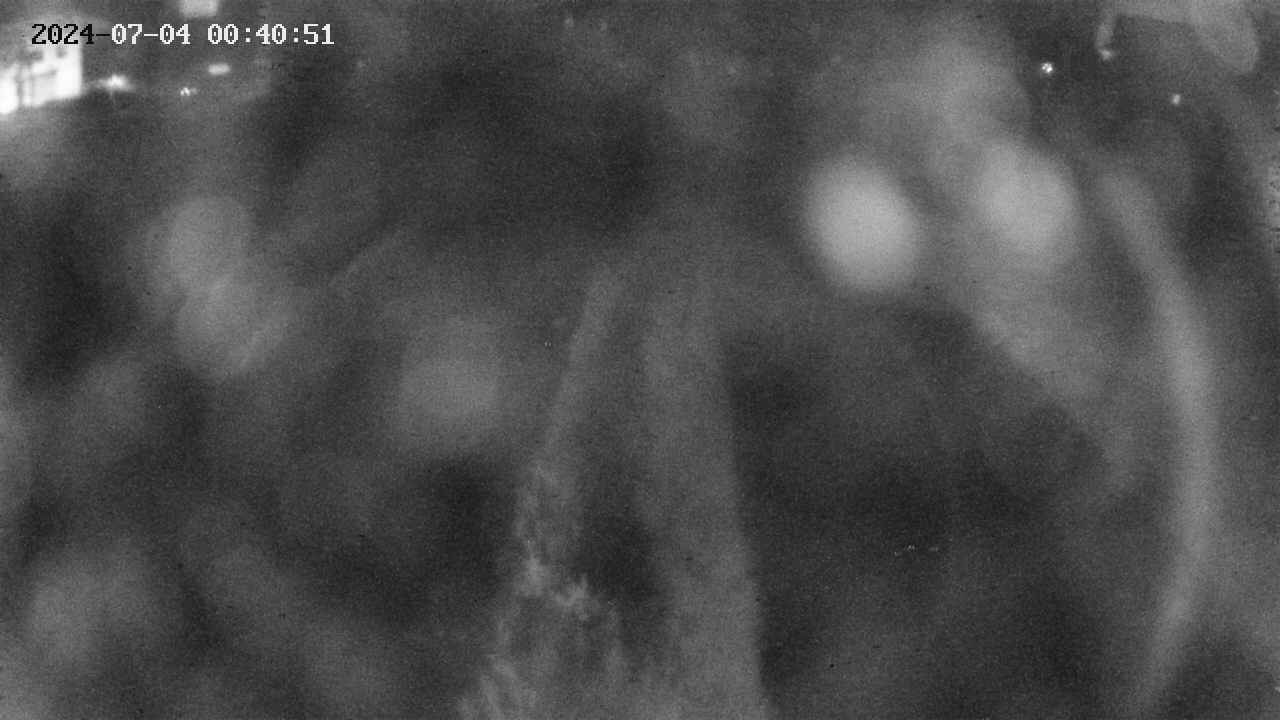 area11-20240704004051.jpg