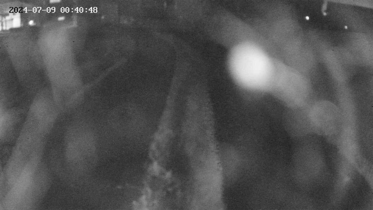 area11-20240709004049.jpg