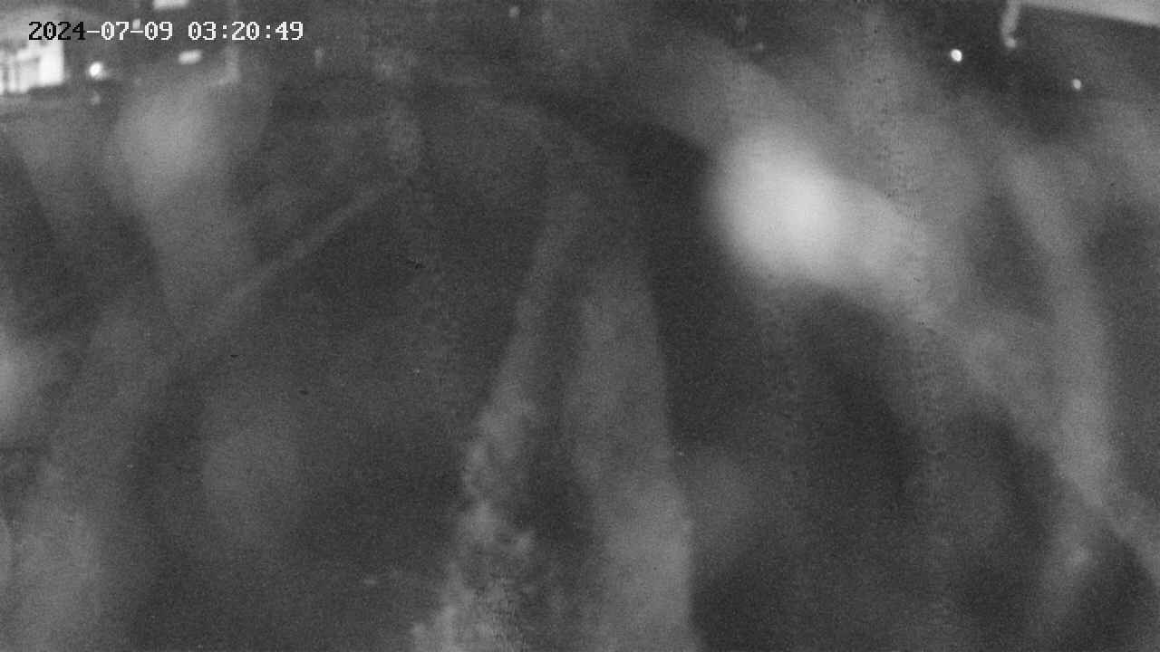 area11-20240709032051.jpg