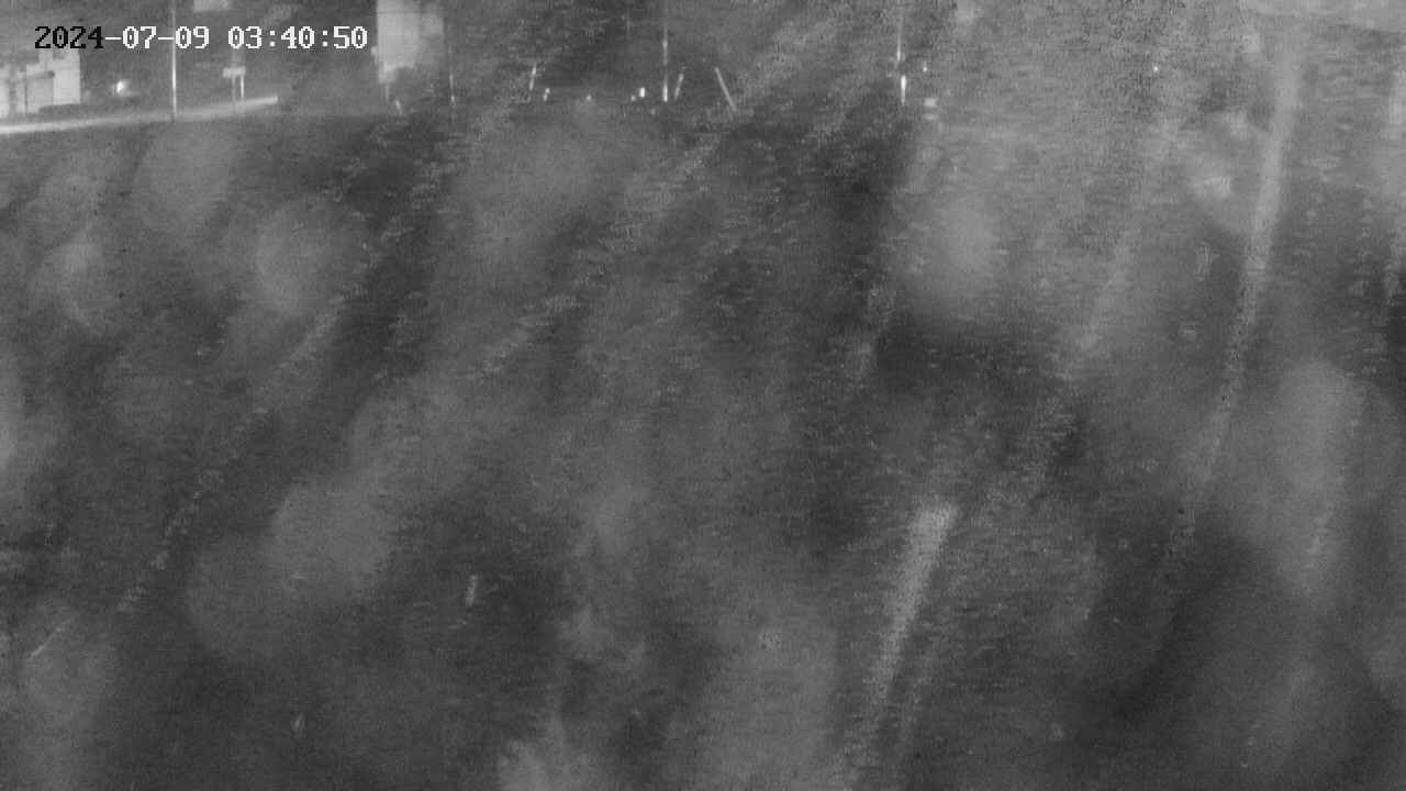 area11-20240709034051.jpg