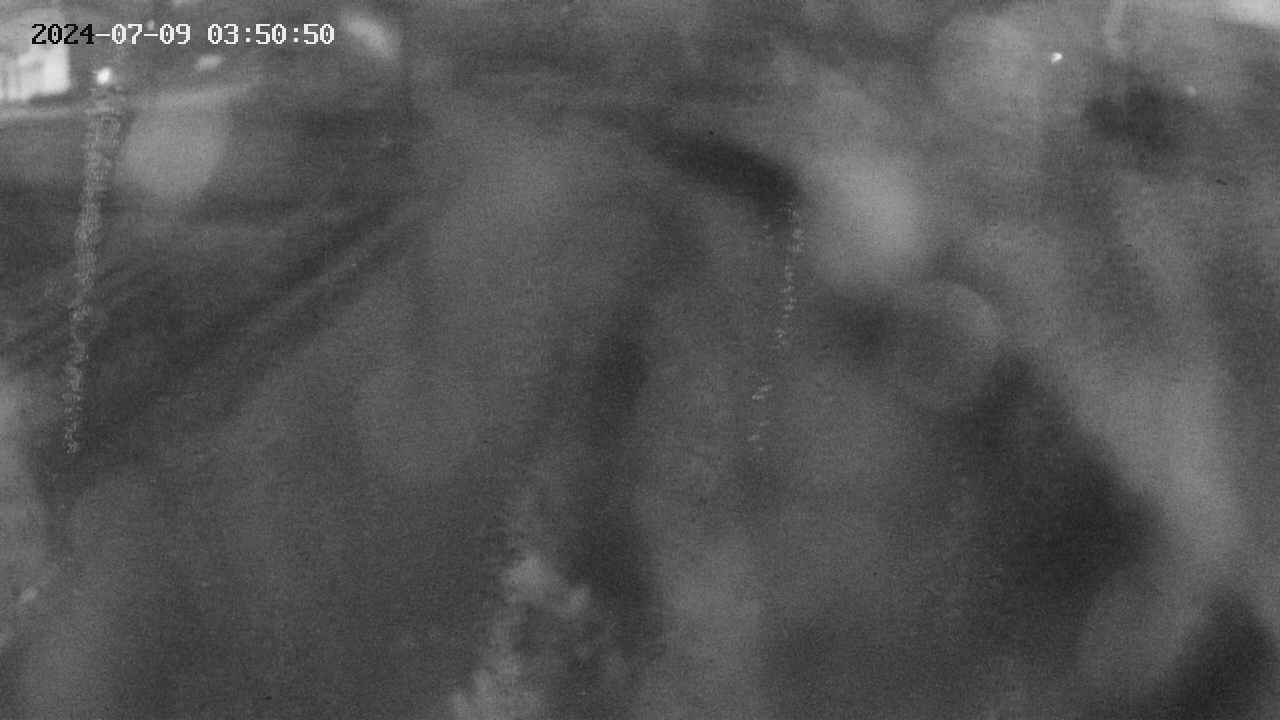 area11-20240709035052.jpg