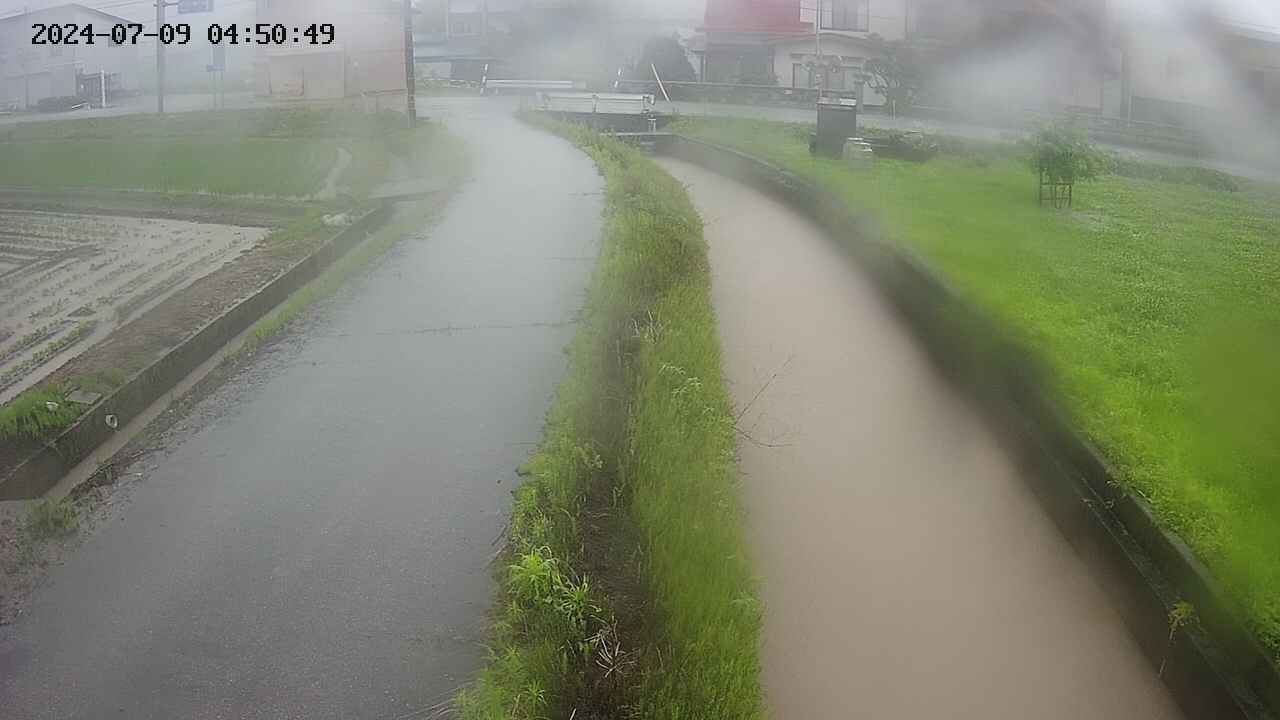 area11-20240709045050.jpg