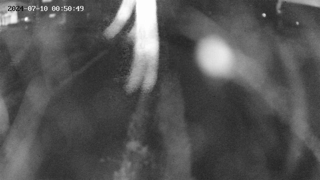 area11-20240710005050.jpg