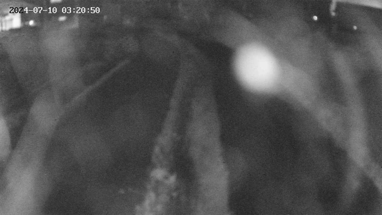 area11-20240710032051.jpg