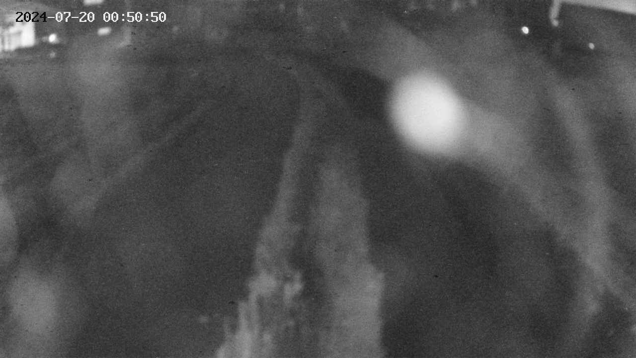 area11-20240720005051.jpg