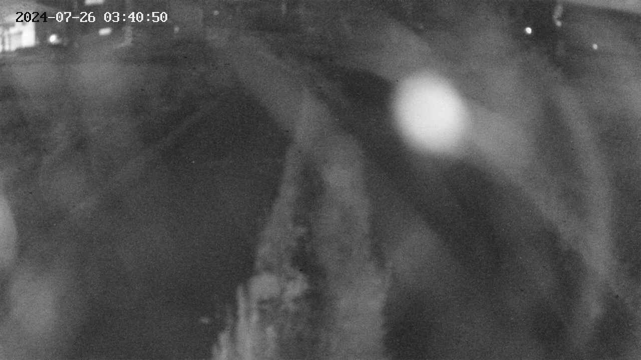 area11-20240726034051.jpg