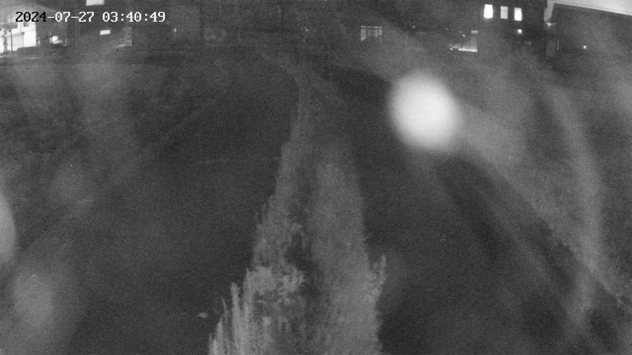 area11-20240727034050.jpg