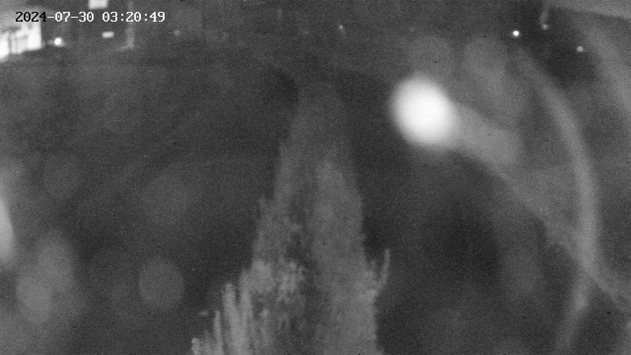area11-20240730032050.jpg