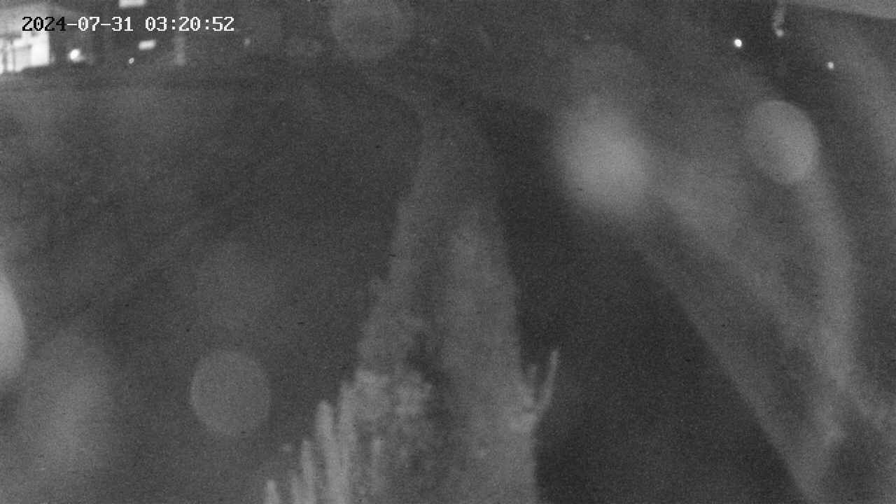area11-20240731032053.jpg