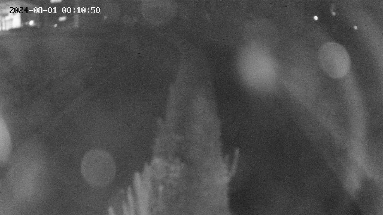 area11-20240801001051.jpg