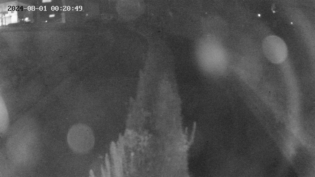 area11-20240801002050.jpg