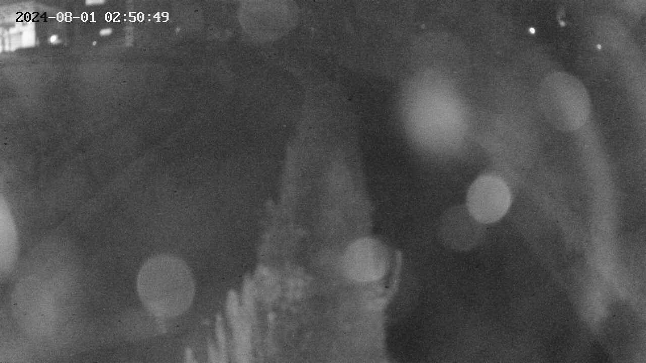 area11-20240801025049.jpg