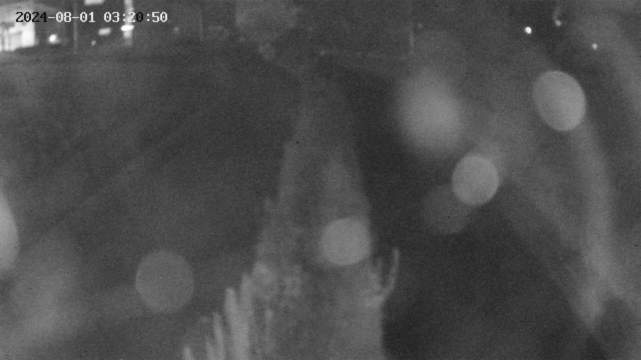 area11-20240801032050.jpg