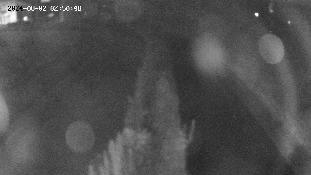 area11-20240802025049.jpg