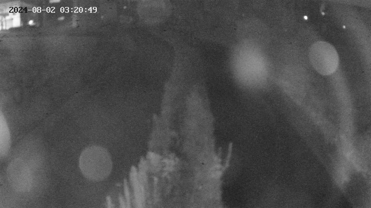 area11-20240802032050.jpg
