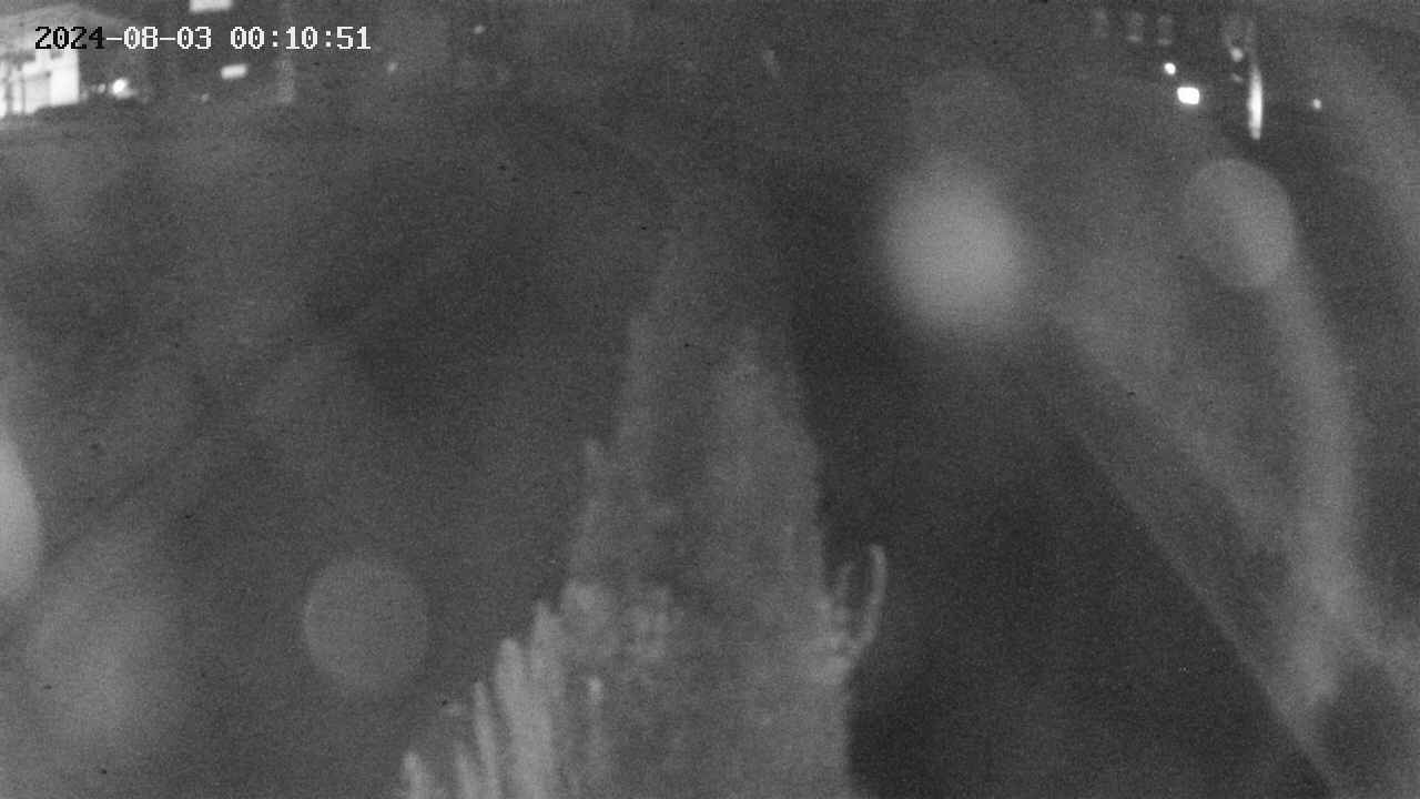 area11-20240803001051.jpg