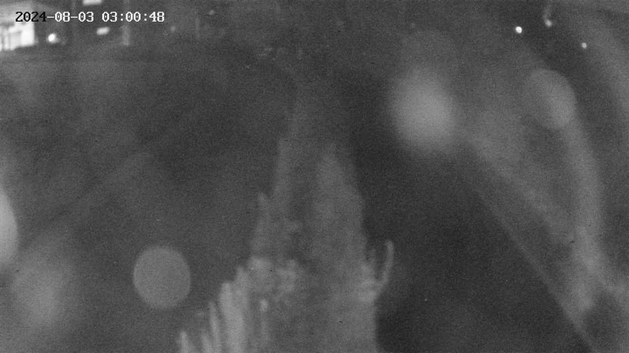 area11-20240803030049.jpg