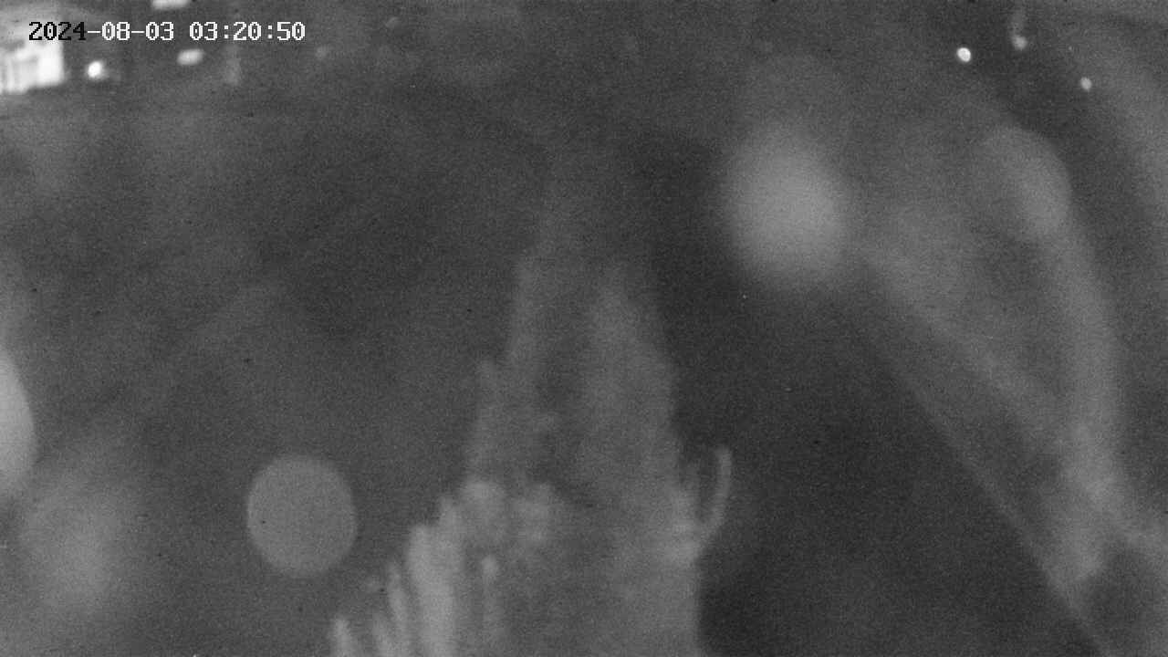 area11-20240803032051.jpg