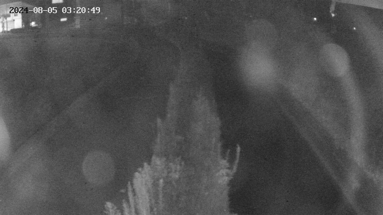 area11-20240805032050.jpg