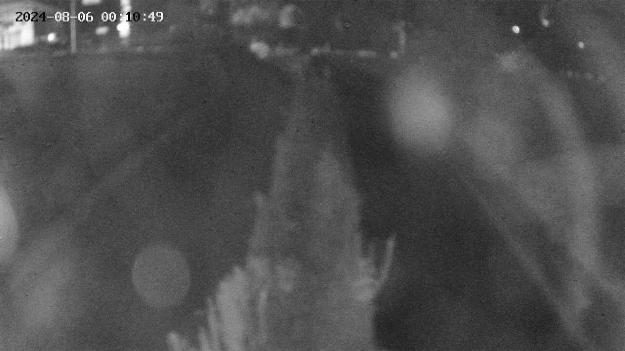 area11-20240806001050.jpg