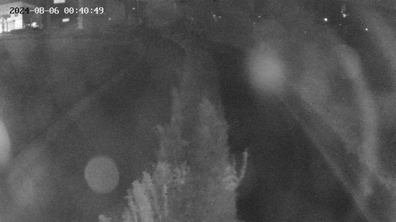 area11-20240806004049.jpg