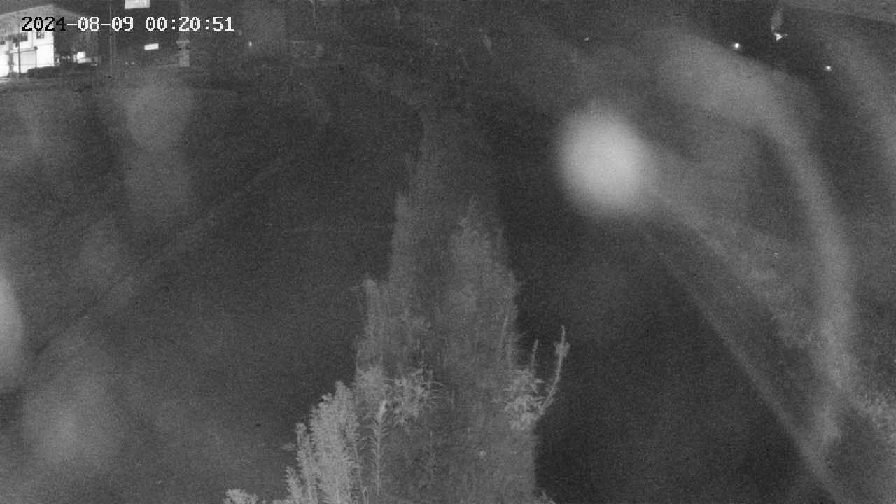 area11-20240809002051.jpg