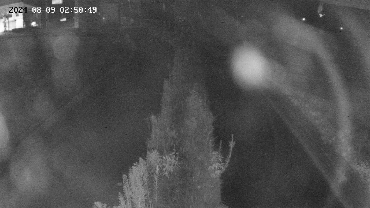area11-20240809025049.jpg