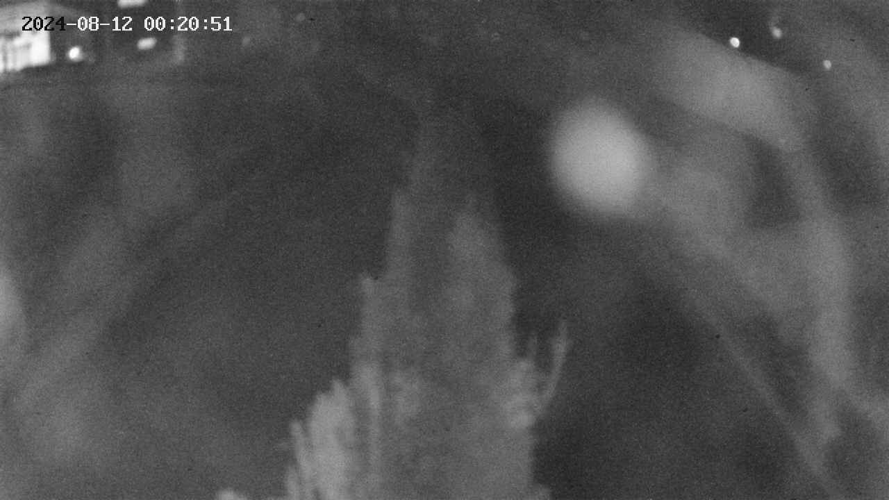 area11-20240812002052.jpg