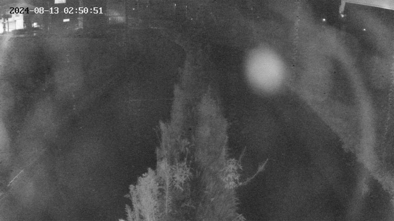 area11-20240813025052.jpg