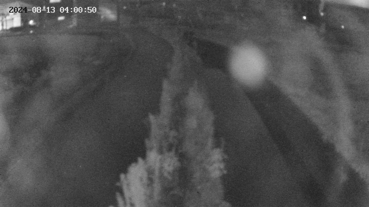 area11-20240813040051.jpg